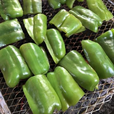 生鮮季節時蔬-青椒