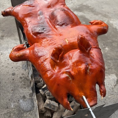 Cc烤乳豬7-8斤(含乳豬·烤具·碳·調味醬·運費)