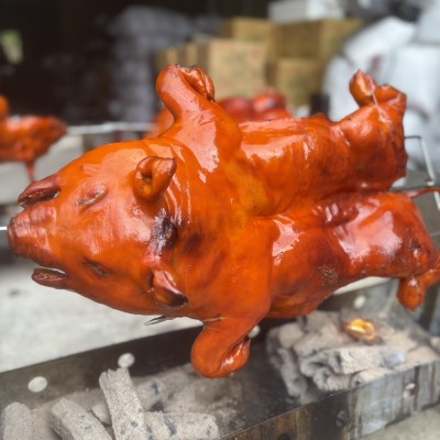 烤乳豬7-8斤(含乳豬·烤具·碳·調味醬·運費)