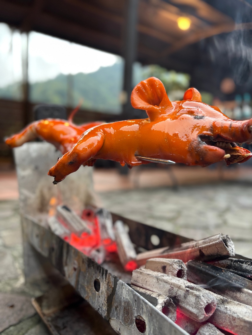 Cc烤肉三峽大板根烤乳豬